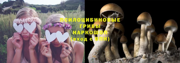 амф Абинск