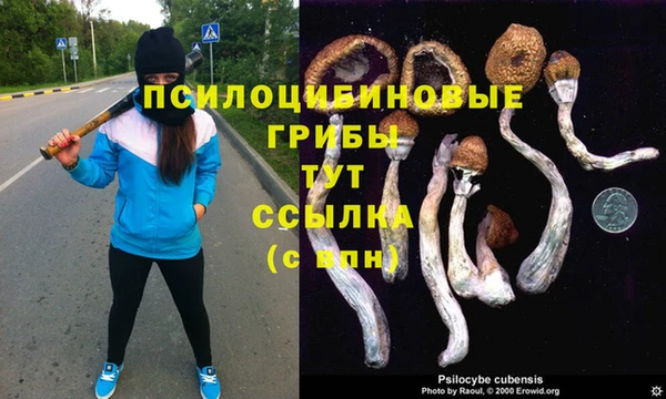 метадон Карпинск